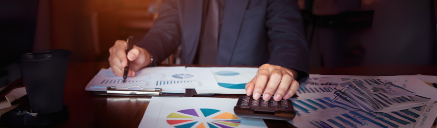 displaying large datasets in wordpress tables