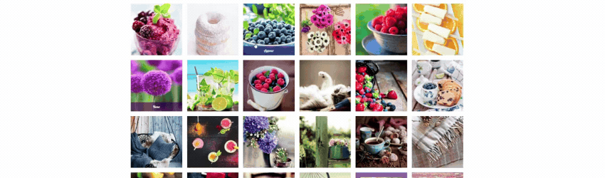 photo gallery captions